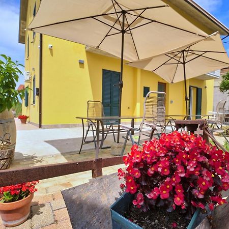 La Casa Del Vino - B&B Tollo 外观 照片