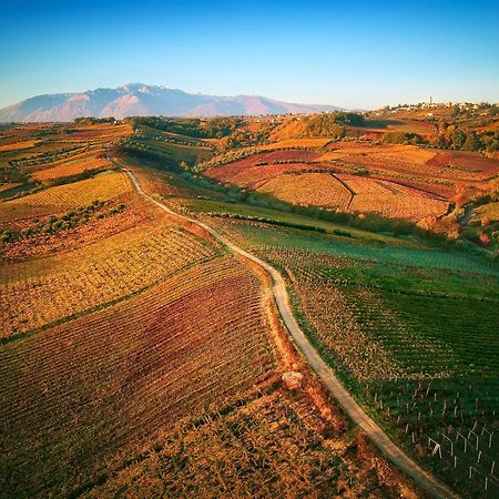 La Casa Del Vino - B&B Tollo 外观 照片