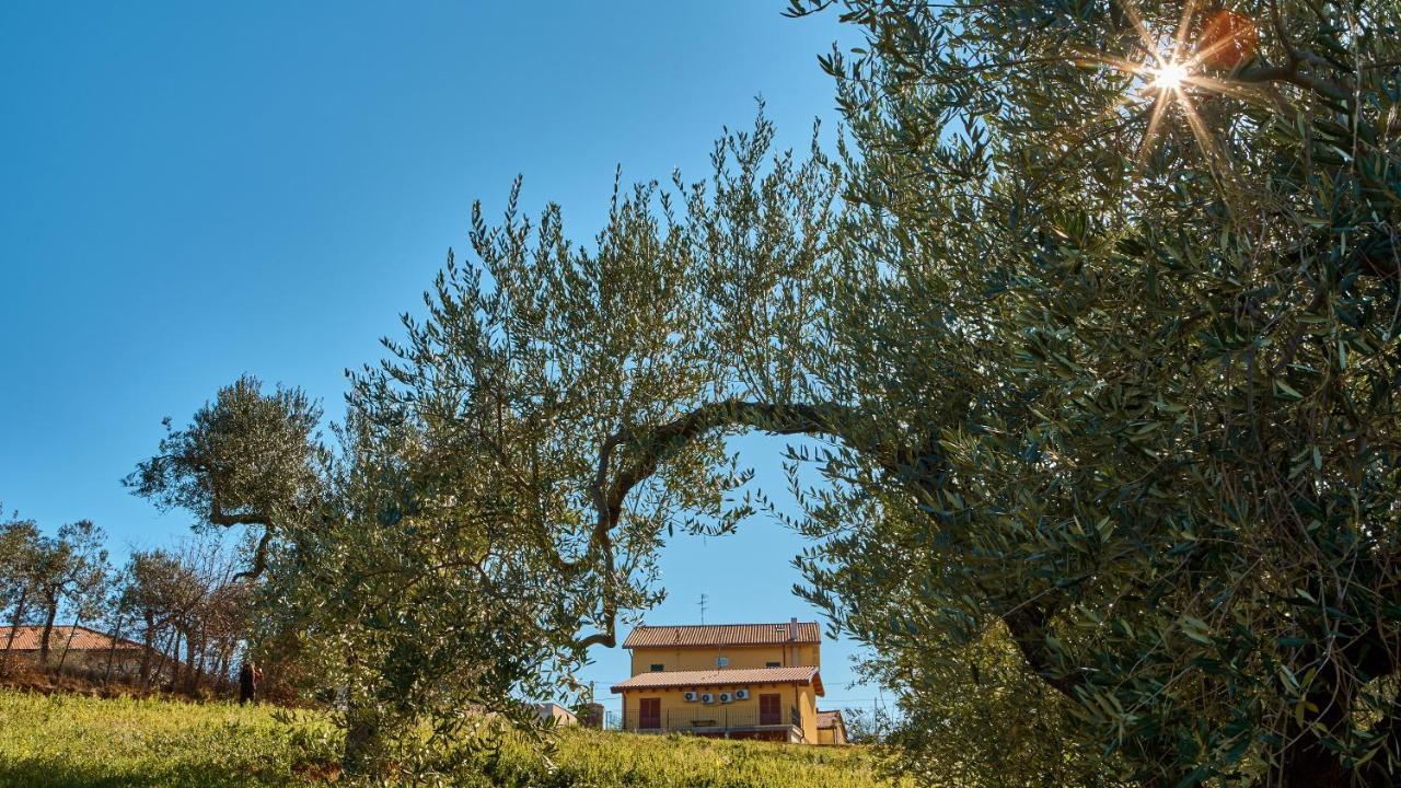 La Casa Del Vino - B&B Tollo 外观 照片