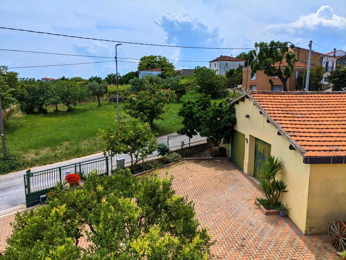 La Casa Del Vino - B&B Tollo 外观 照片