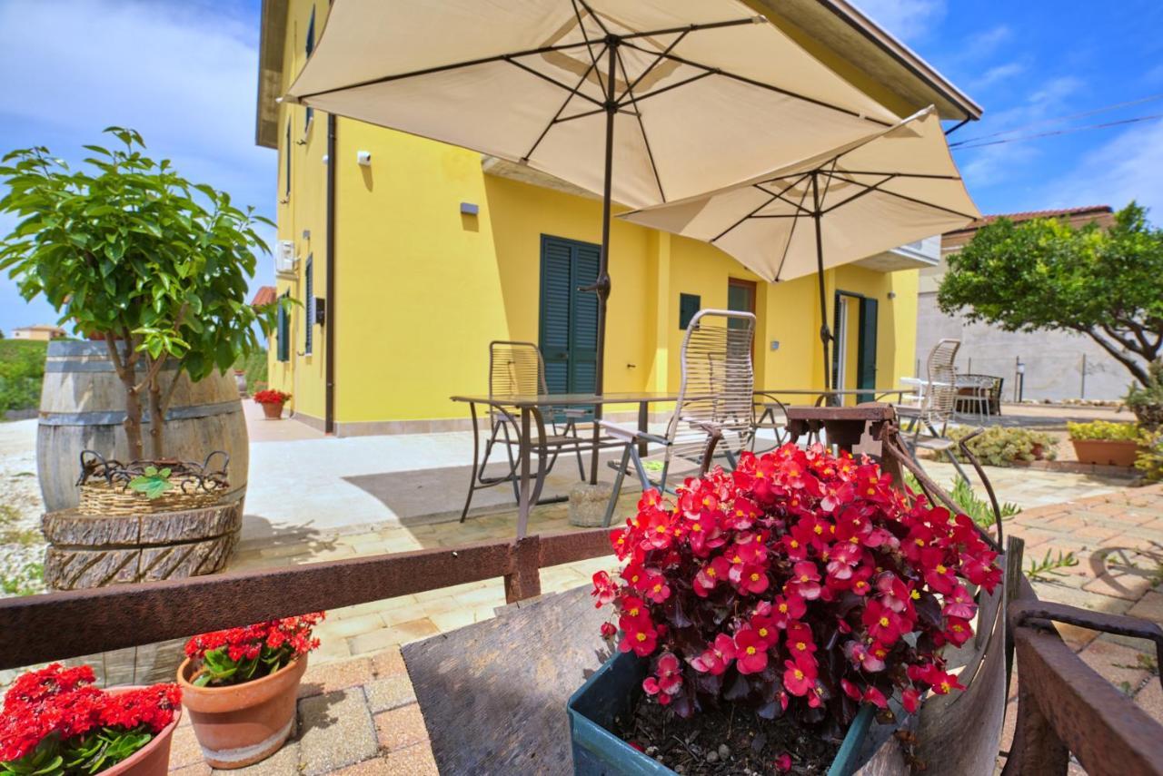 La Casa Del Vino - B&B Tollo 外观 照片