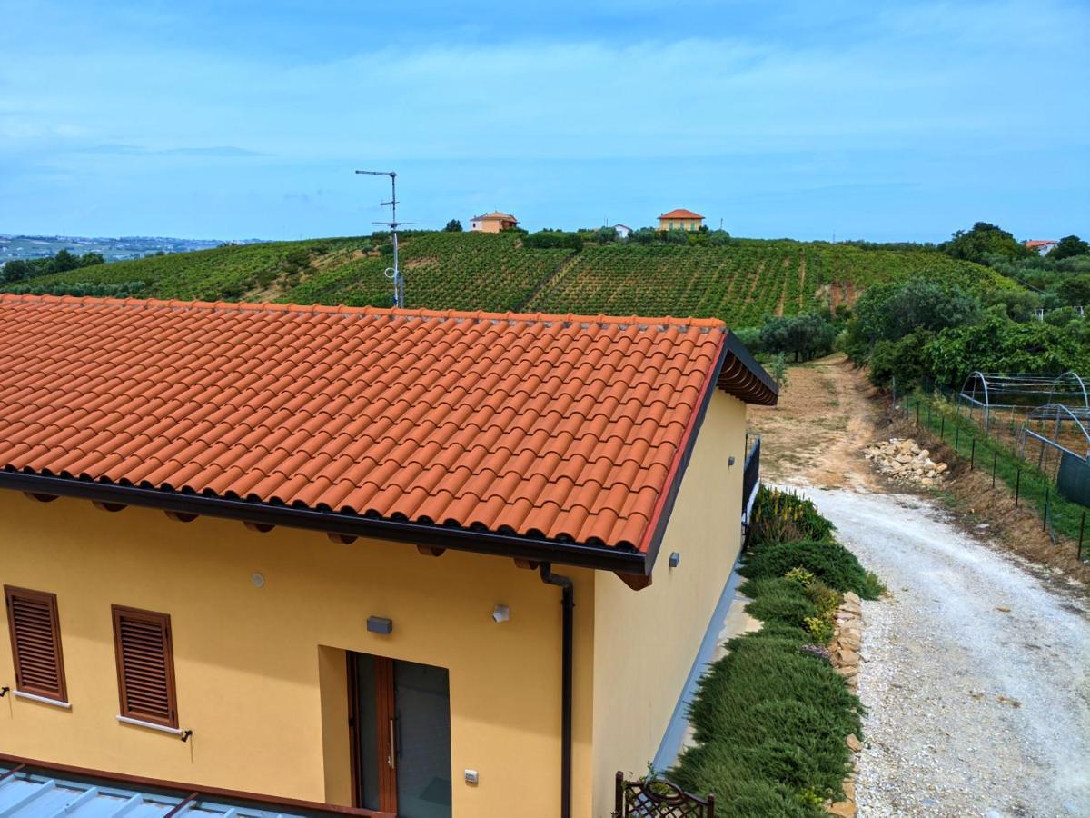 La Casa Del Vino - B&B Tollo 外观 照片